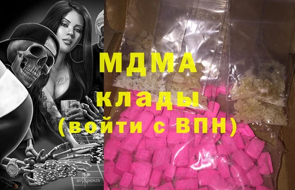 индика Бронницы