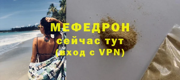 индика Бронницы