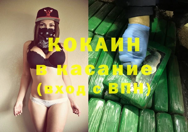 индика Бронницы
