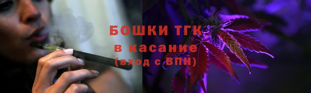 индика Бронницы