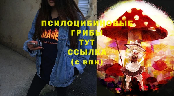 ALPHA-PVP Бугульма