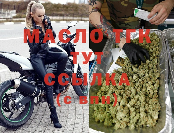 индика Бронницы