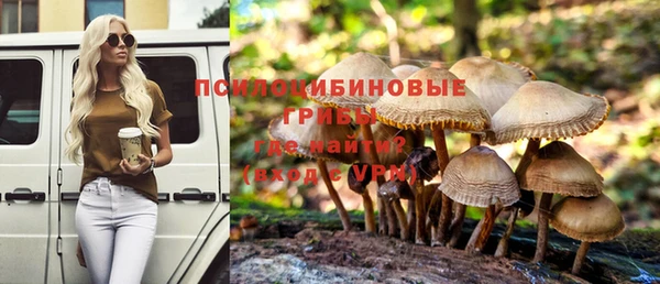 индика Бронницы