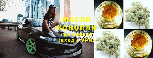 индика Бронницы