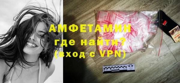 индика Бронницы