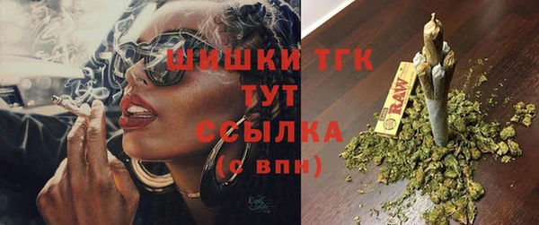 индика Бронницы