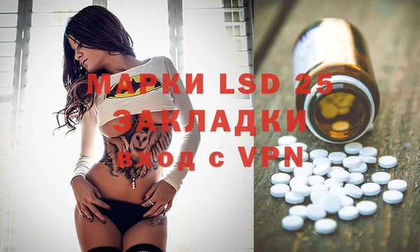 индика Бронницы