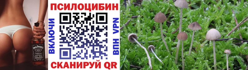 Псилоцибиновые грибы мицелий  купить наркотики цена  kraken рабочий сайт  Верхоянск 