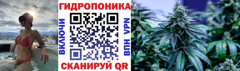 Марихуана конопля  Верхоянск 